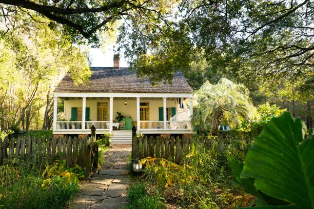 Classic Acadian cottage shaded by live oaks in Lafayette, Louisiana